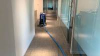 Commercial Carpet Cleaning