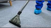 Carpet Cleaning Service