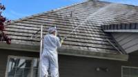 Roof Cleaning