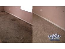 Carpet Cleaning Salt Lake City